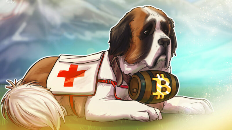 Cashing out Bitcoin to save a dog’s life from cancer is ‘the moon for us’