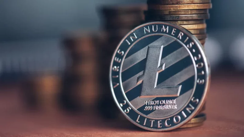 Litecoin May Soon Wake Up With Magnificient Upswing, These Catalyst May Fuel The LTC Price Rally!
