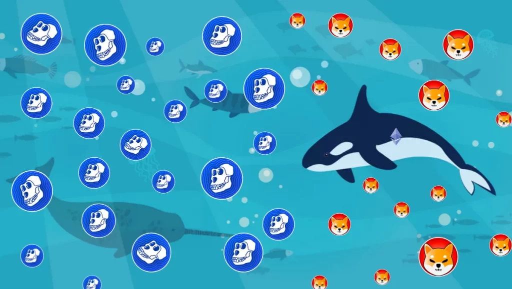 Will Apecoin(APE) Be the Next Shiba INU(SHIB), As Ethereum Whales Shift Their Focus on APE!