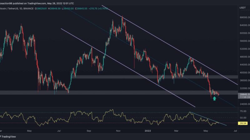 Bitcoin’s Consolidation at $29K Continues, is a Recovery Inbound? (BTC Price Analysis)