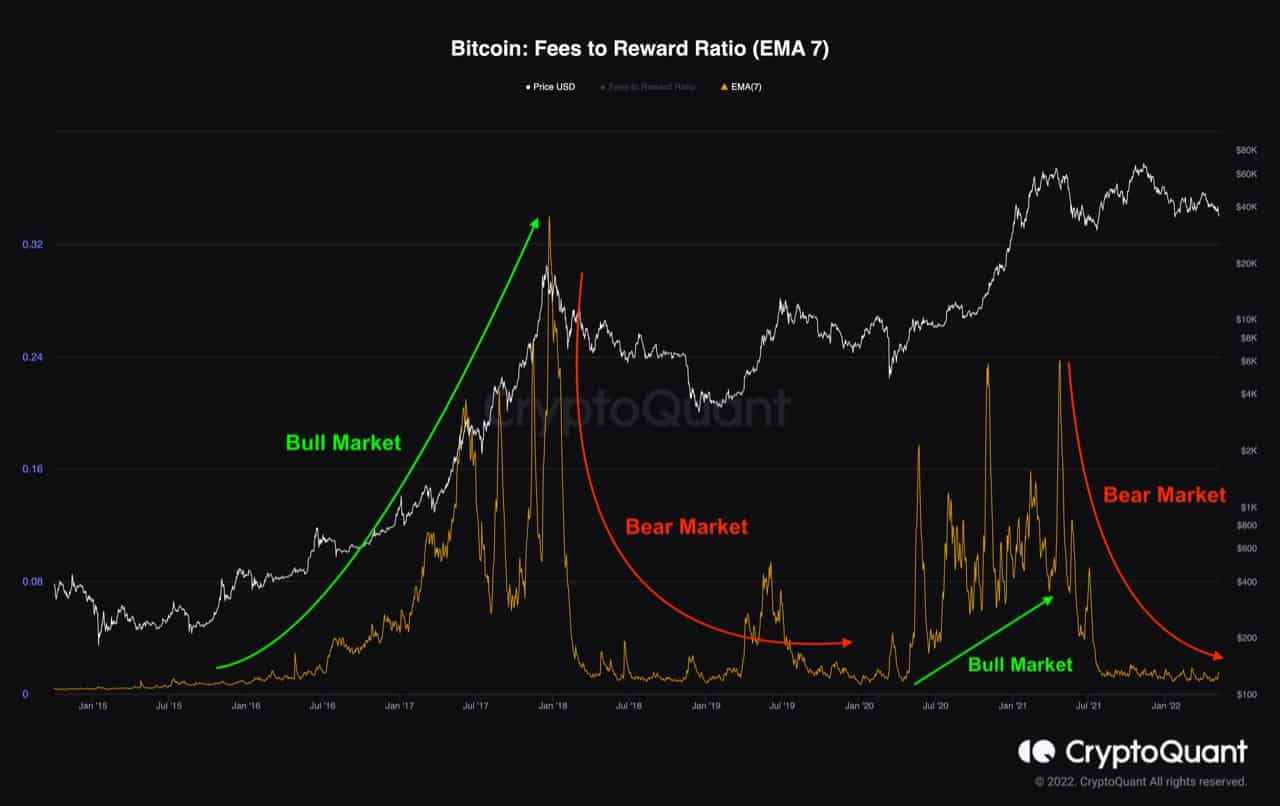 Cardano’s Charles Hoskinson: We Are in a Bear Market