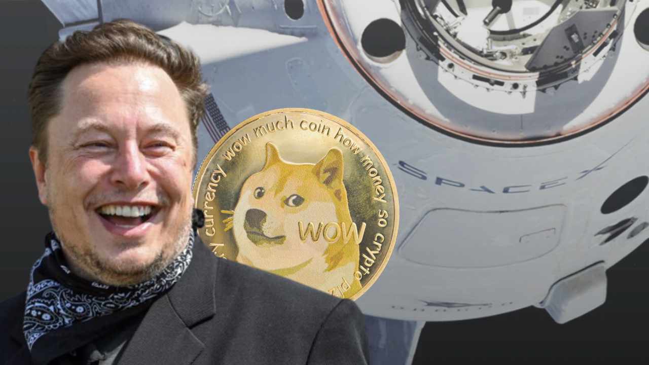 Elon Musk Says Spacex Will Soon Accept Dogecoin for Merchandise — Starlink Subscriptions Could Follow