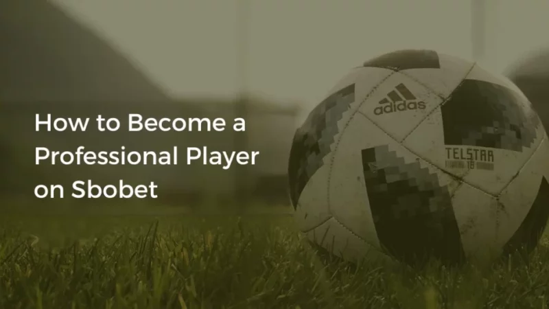How To Become A Professional Player On Sbobet
