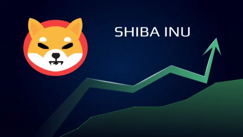 While Shiba Inu Begins The Recovery Phase, Half A Billion SHIB Gets Locked! How Will This Impact SHIB Price