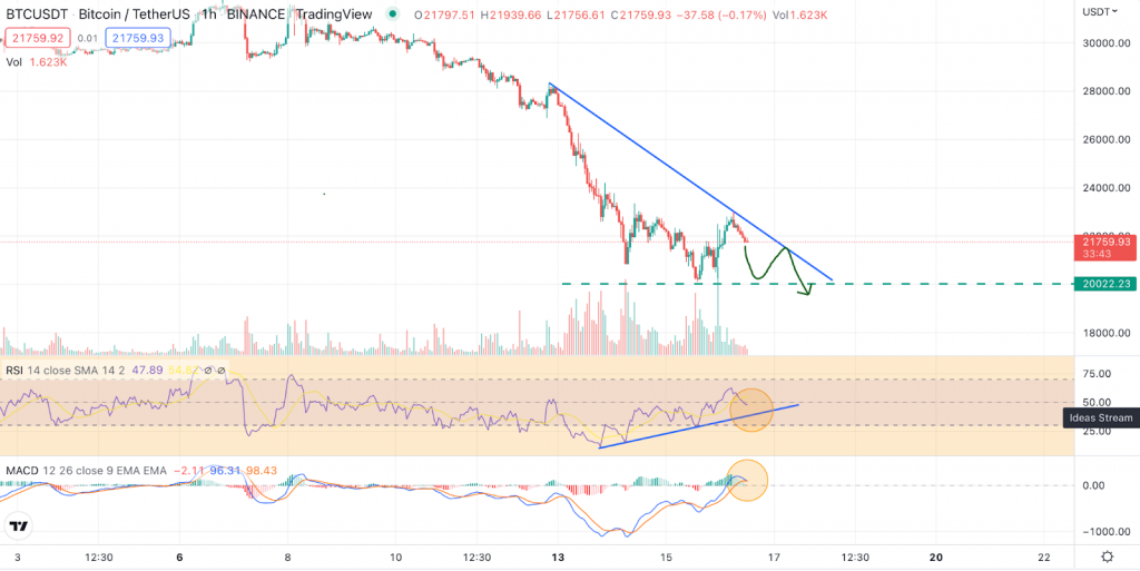 Bitcoin (BTC) Price Jump Maybe Just Another Dead Cat Bounce! Watch Out for These Levels Before Jumping-In!