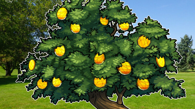 ‘Buy Bitcoin, plant a tree, lower your time preference’: a Sequoia story