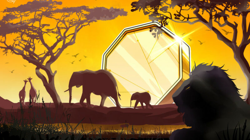 Central African Republic to tokenize the nation’s natural resources