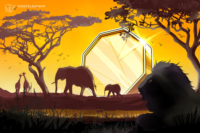 Central African Republic to tokenize the nation’s natural resources
