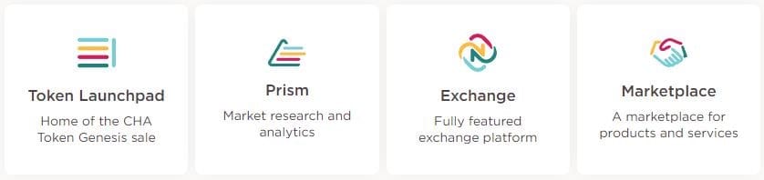 Chains: The Complete Ecosystem Guide
