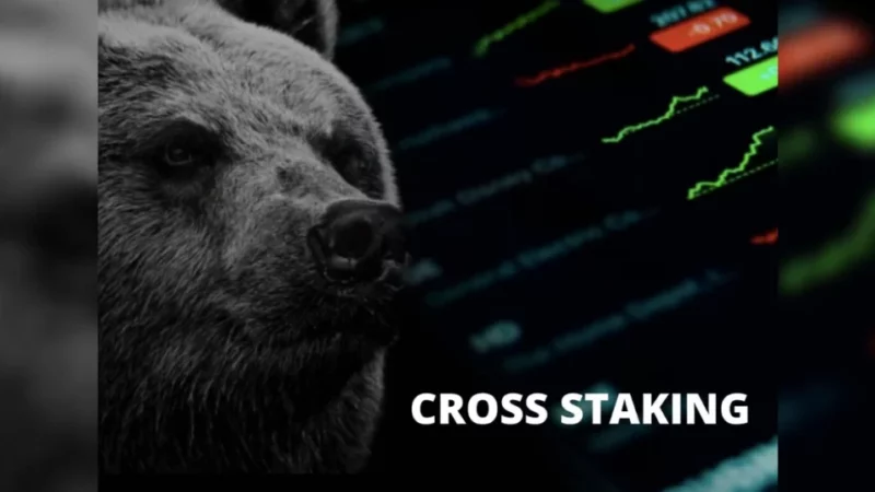 Cross Staking Protects Crypto Investors from Bear Market