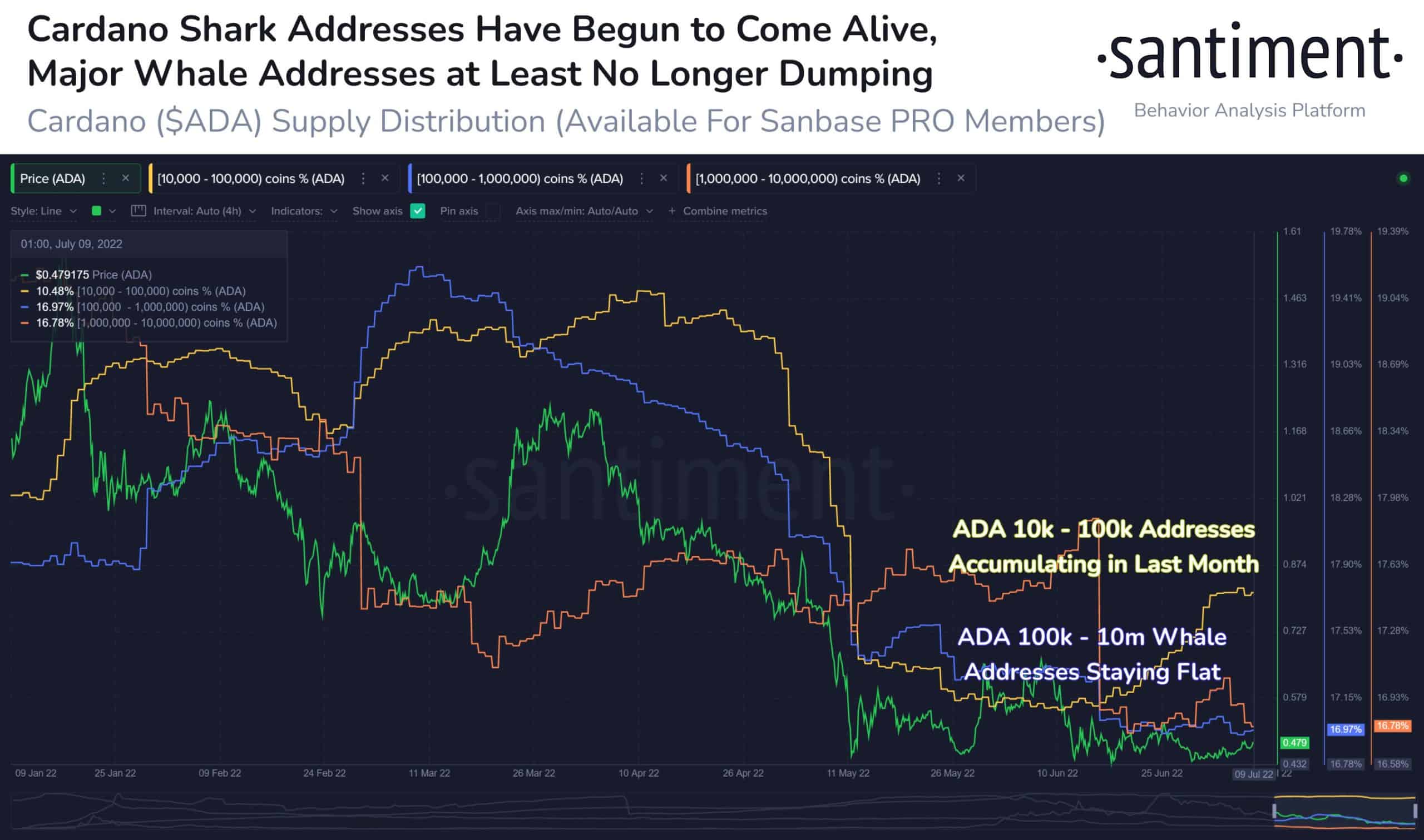 Accumulating Cardano (ADA) Ahead of Vasil Upgrade: Sharks Added $37M, Whales Stopped Selling