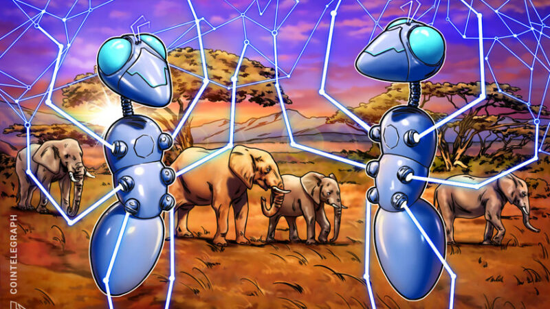 Africa can create an inclusive society with blockchain, says LBank CEO