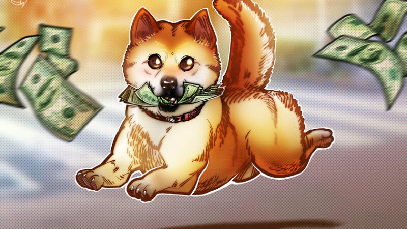 DOGE days of summer: Shiba Inu gains 40% on Dogecoin two months after record lows