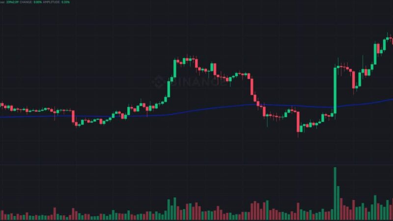 Bitcoin Calms at $24K as Ethereum Classic (ETC) Soars 10% Daily: Market Watch
