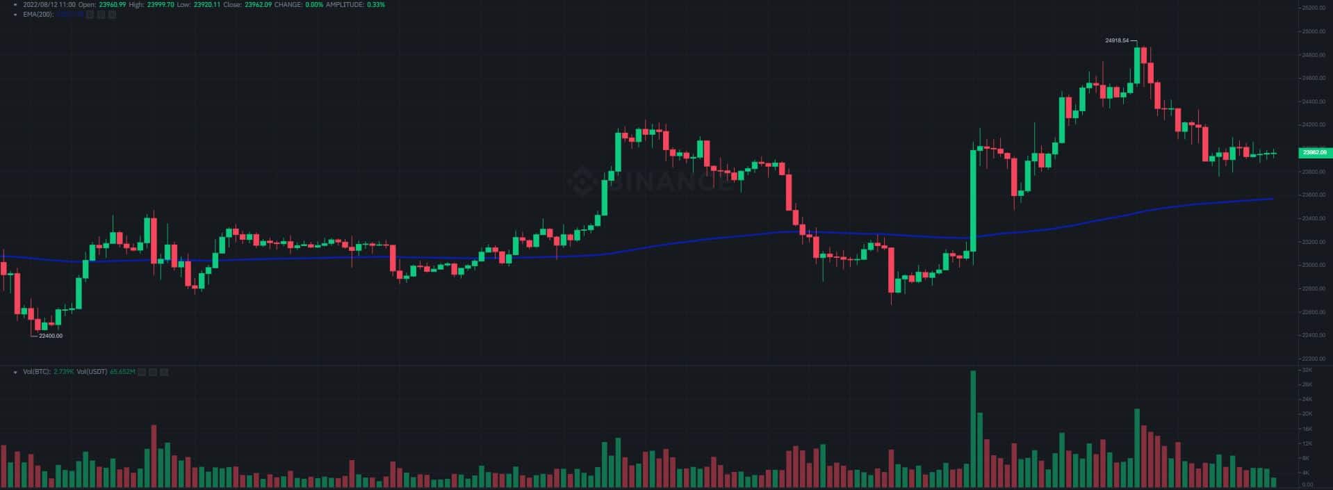 Bitcoin Calms at $24K as Ethereum Classic (ETC) Soars 10% Daily: Market Watch