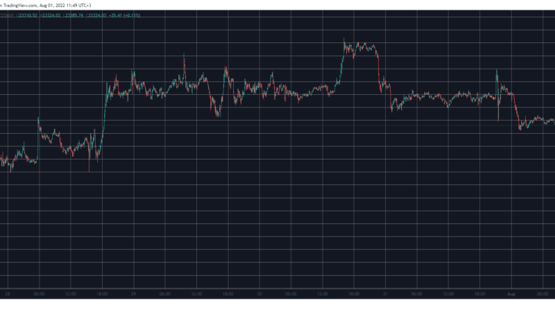 Bitcoin Closes July Green, Polkadot (DOT) Soars 7% Daily: Market Watch