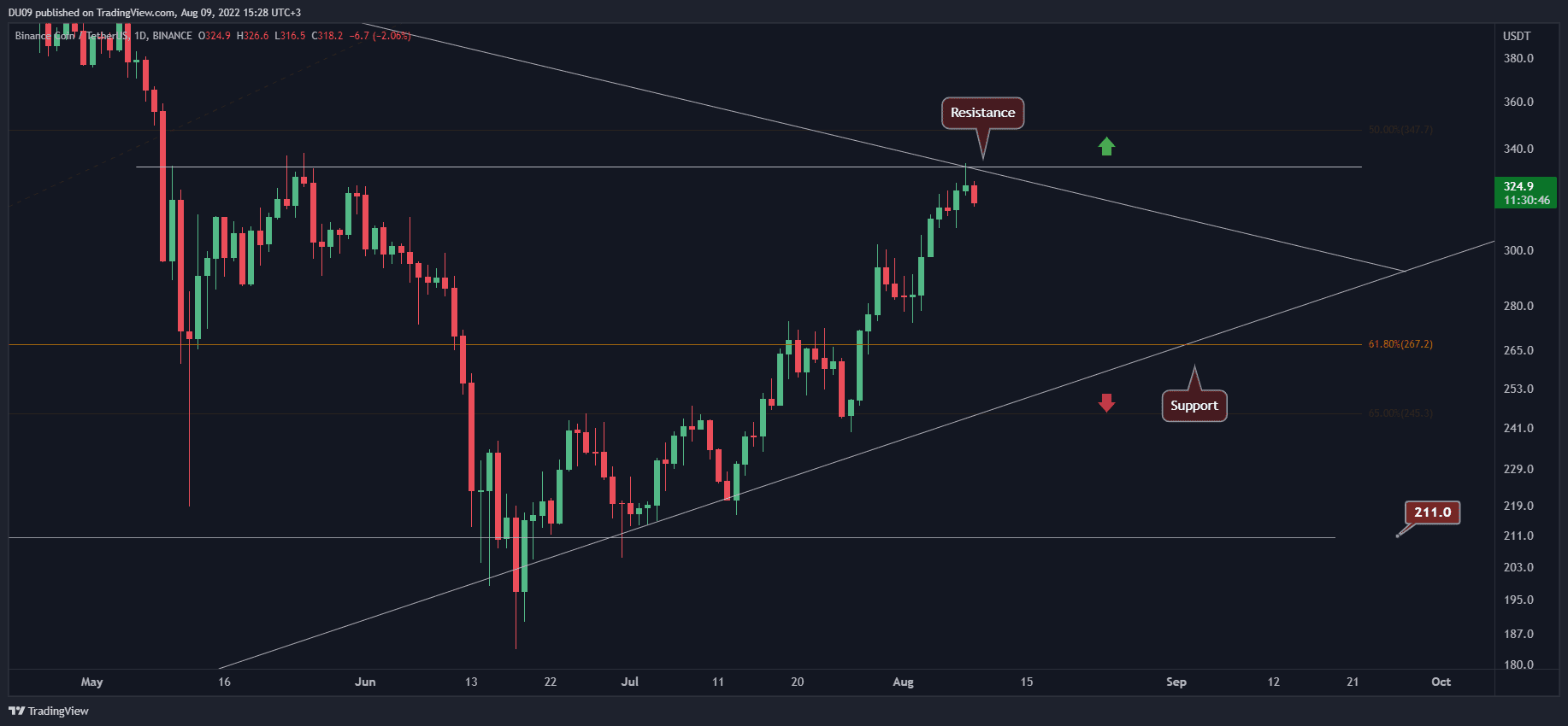 BNB Pulls Back at a Critical Resistance, is $300 Incoming? (Binance Coin Price Analysis)