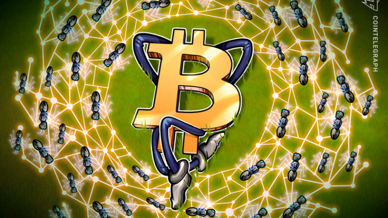 BTC wholecoiners up by 40K since June crash began