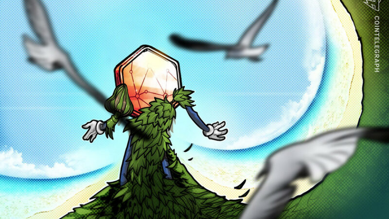 Carbon credit NFTs are only effective if burned, experts say