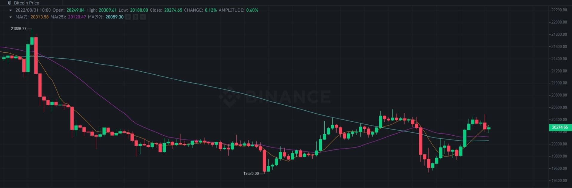 Daily Volatility Surges as Bitcoin Fights for $20K (Market Watch)
