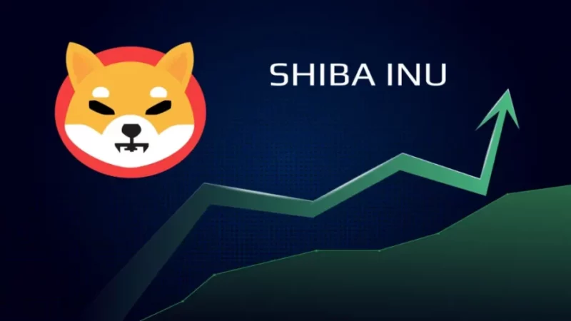 Good Times Ahead For Shiba Inu Holders! SHIB Price Might See Major Rally Soon!