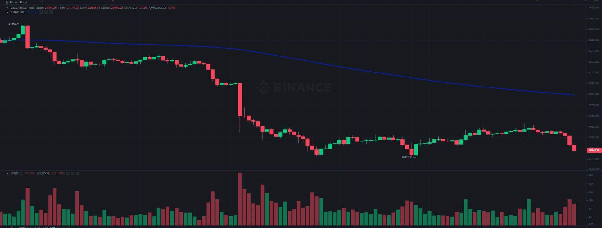 Market Cap Back At $1T After Bitcoin Lost 14% Weekly (Market Watch)