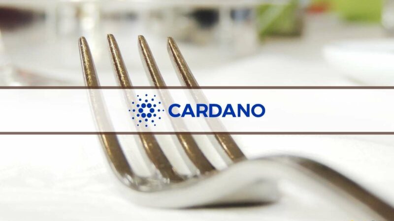 The Vasil Hard Fork: Will It Be a Turning Point for Cardano?