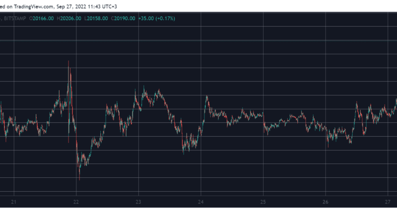 Bitcoin Soars Above $20K, Recording 12-Day High (Market Watch)