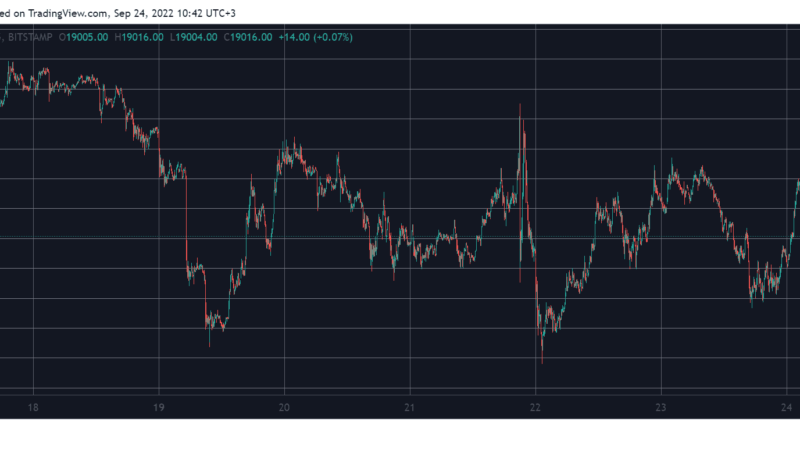 Weekend Watch: Dogecoin Soars 6.5%, Bitcoin Fights for $19K