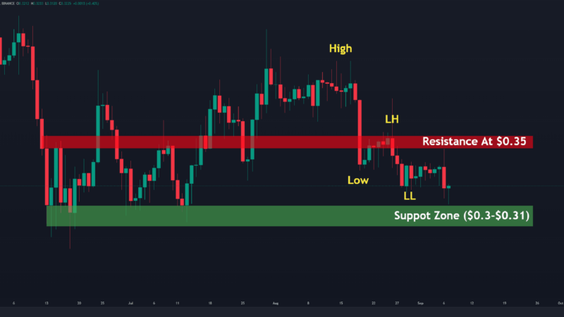 XRP Crashes Toward $0.30 But Bulls Outperform Against Bitcoin (Ripple Price Analysis)