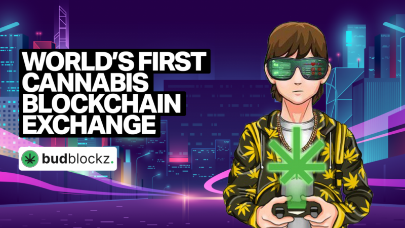 BudBlockz Sets Sights on Ethereum and Binance Coin After Successful Private Sale