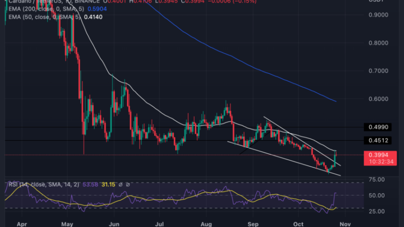 Cardano Rebounds With 12% As Price Nears Resistance, Is $0.5 Possible?