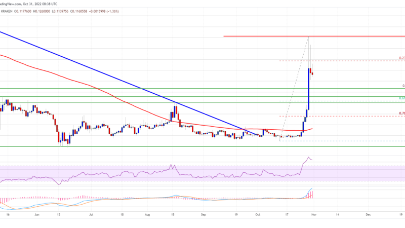 Dogecoin (DOGE) Mammoth Rally Takes Break, Why Dips Turned Attractive