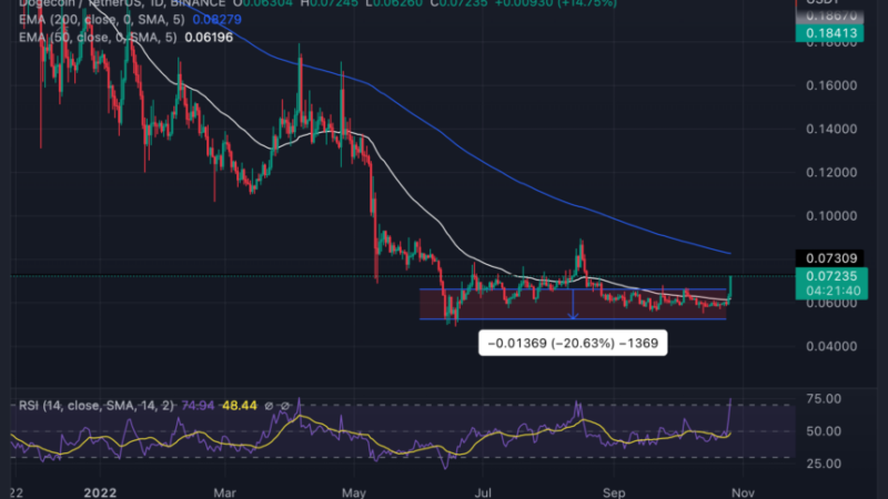Dogecoin (DOGE) Rallies with Over 10% Gains; Will Price Finally Hit $0.1?