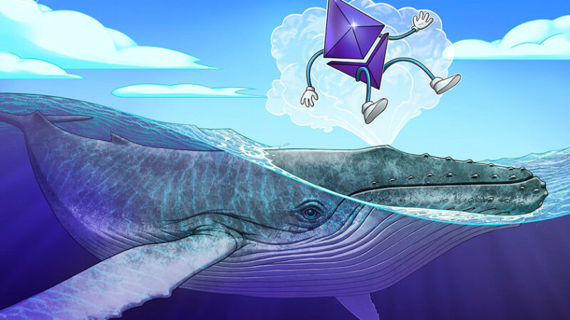 Ether exchange netflow highlights behavioral pattern of ETH whales