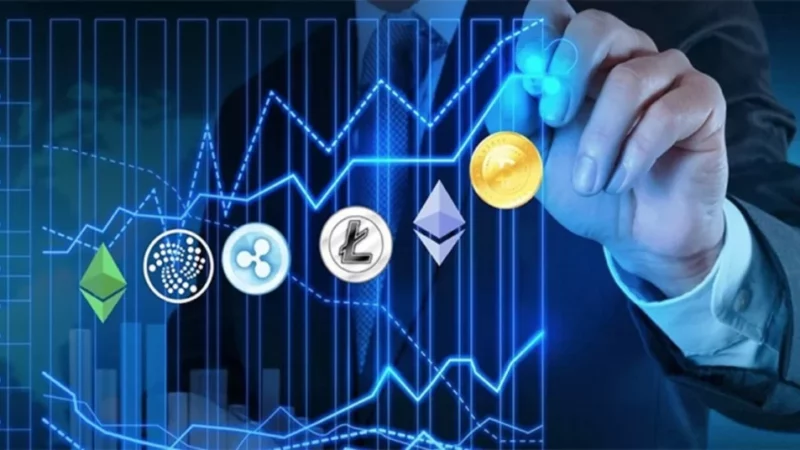 Here’s Why Venture Capitalists & Whales are Keen on Holding These Top Crypto Sectors!