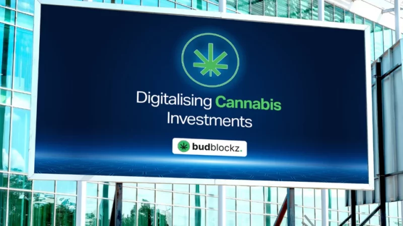 Meme Coins Expected to Suffer During Q1 2023, While Budblockz and Hedera’s Utility Tokens Are Expected to Gain Mass Traction