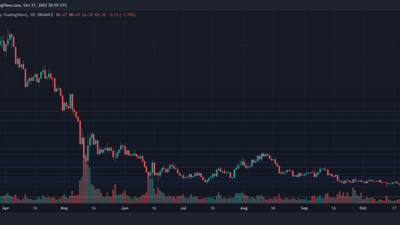 Polkadot Price Depreciates, Will The Bulls Be Able To Defend This Support Line?