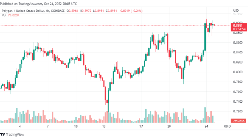 Polygon (MATIC) Among Gainers When Top Coins Bleed