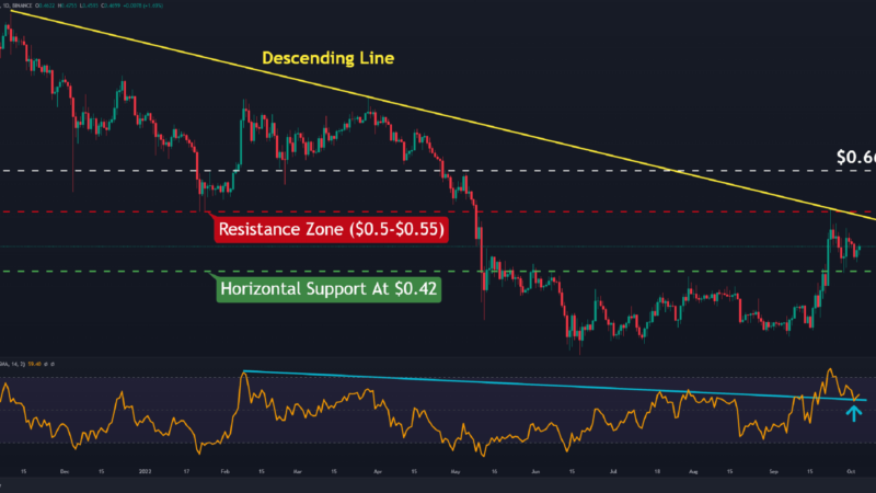 Ripple Bullish Against Bitcoin as 10-Day Long Correction Wearing Out (XRP Price Analysis)