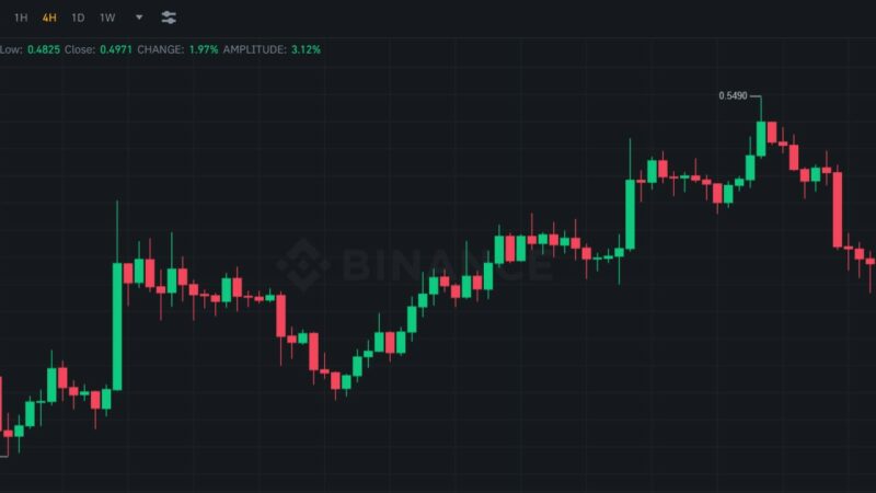 Ripple (XRP) Skyrockets 20% in 14 Days: Here Are The Reasons Why