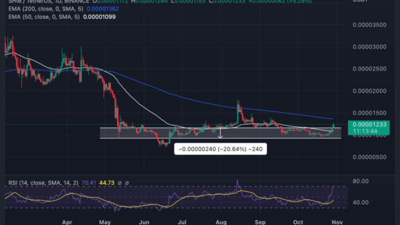Shiba Inu Gains 15% As Price Breaks Out Of Range; Will Price Perform Like DOGE?