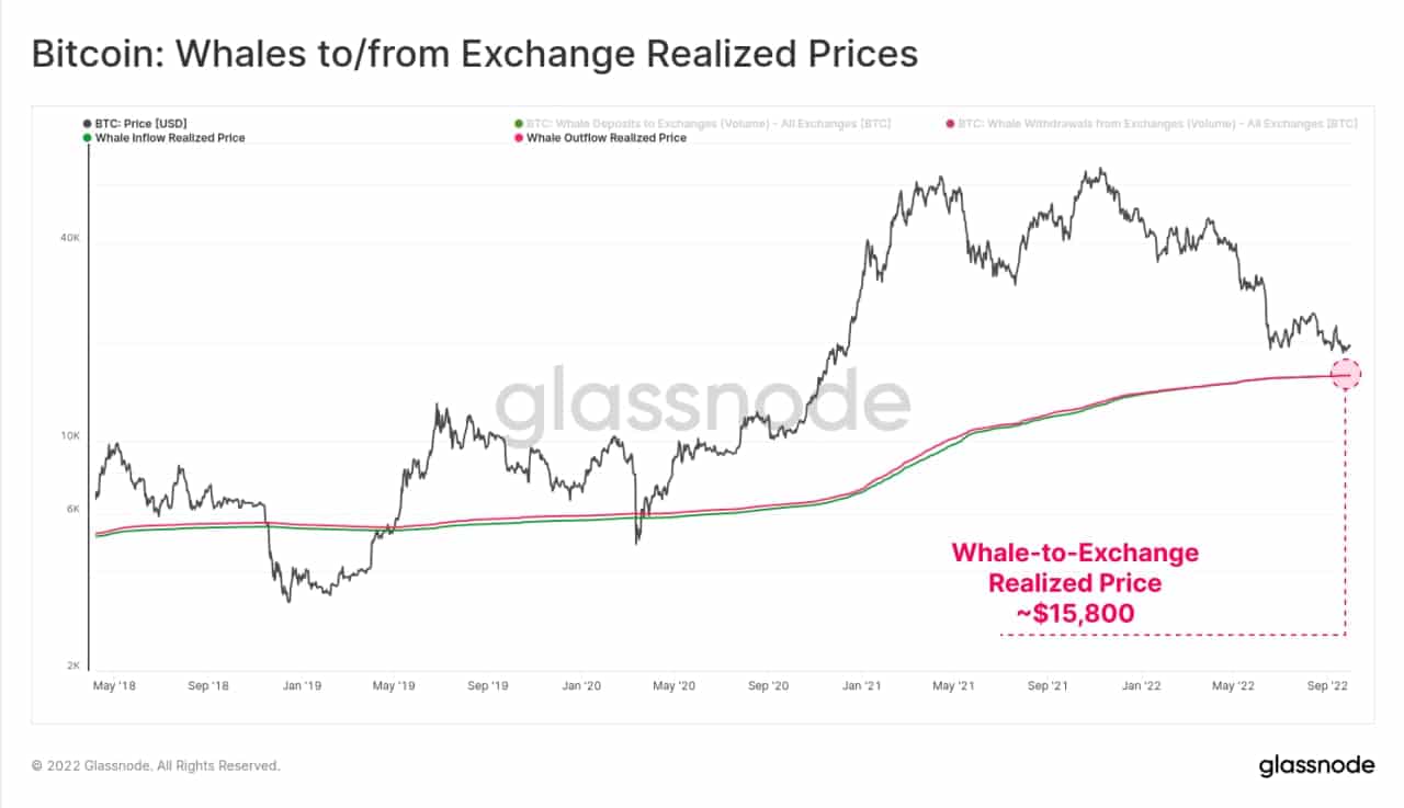 Since January 2017, Whales Bought BTC at an Average Price of $15,800 (Analysis)