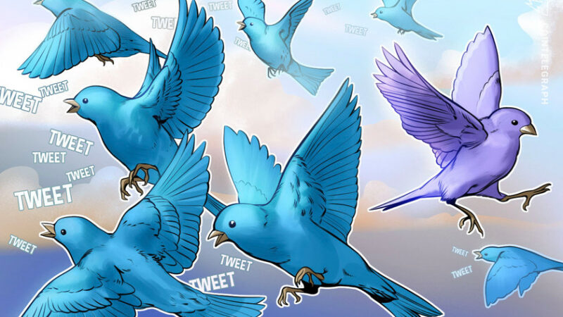 Twitter user saves cross-chain bridge from potential exploit