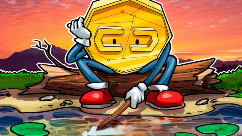 Users upset that Binance’s wrong crypto network retrieval fees have soared to 500 BUSD