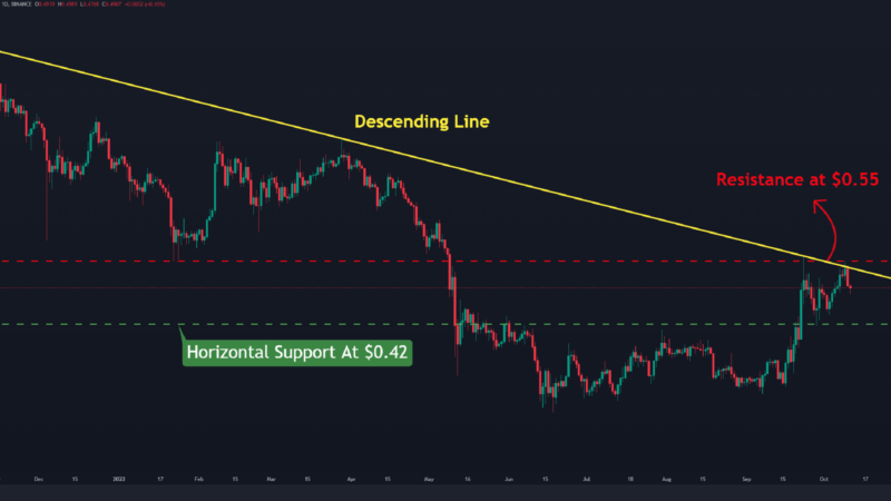 XRP Jumps 7% in Seven Days but Worrying Signs Start to Pop (Ripple Price Analysis)