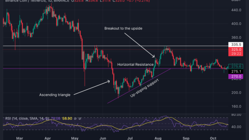 3 Triangle Patterns: All You Need To Know About These Triangles As A Trader