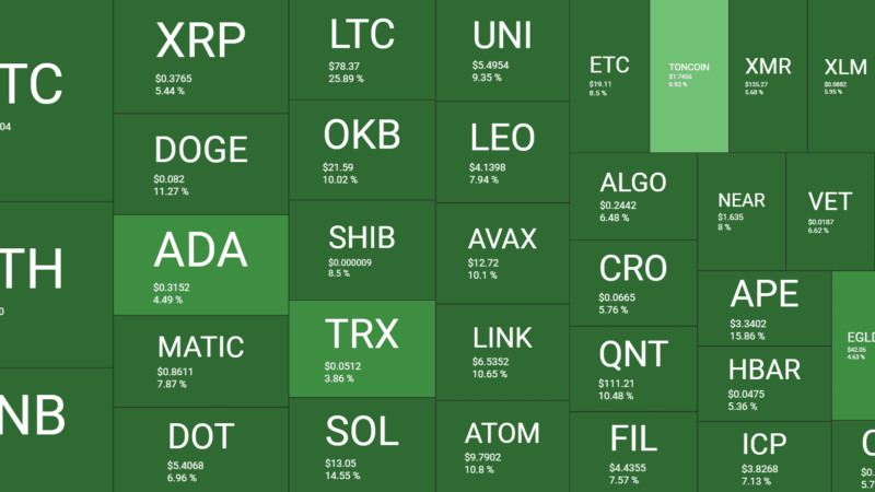Altcoin Madness: BNB Soars to $300, Litecoin Skyrockets 27% Daily (Market Watch)