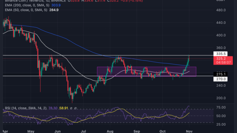 Binance Coin (BNB) Struggles To Break Above $335; Here Is What To Expect 