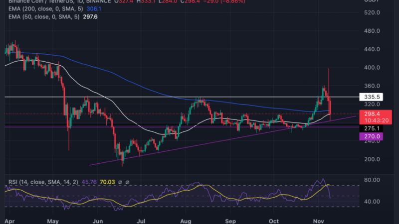 Binance Coin Holds Above $290 Amidst Crypto Purge; Are Bulls Still In Control?